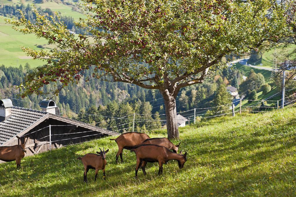 Hotel Gasthof Handl Schönberg im Stubaital Extérieur photo